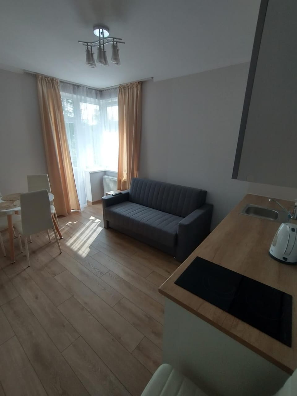 Kitchen or kitchenette, Living room, Seating area, Dining area