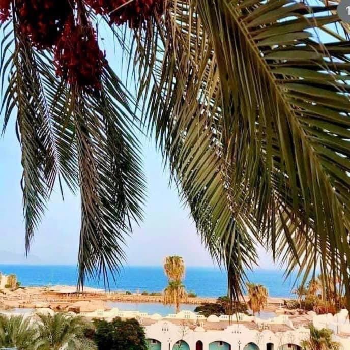 DOMINA CORAL BAY RESORT Apartment in Sharm El-Sheikh