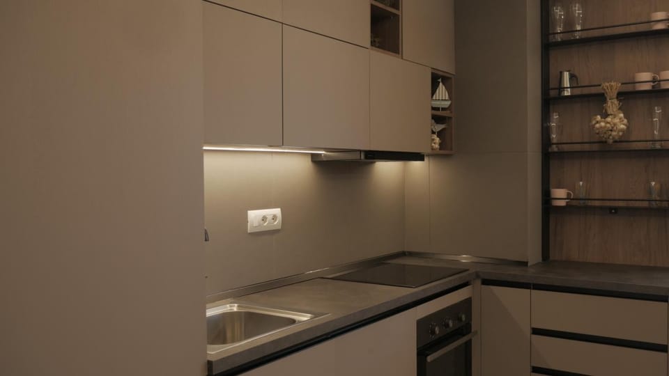 Kitchen or kitchenette, kitchen