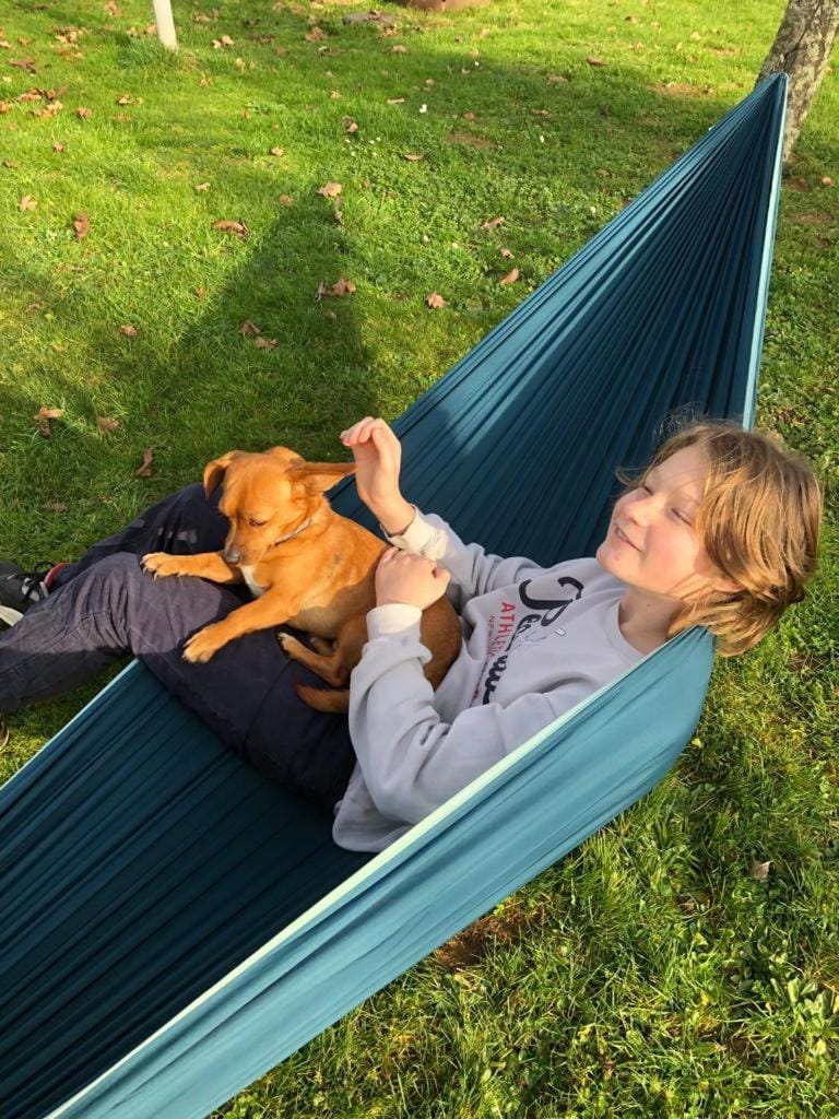 Pets