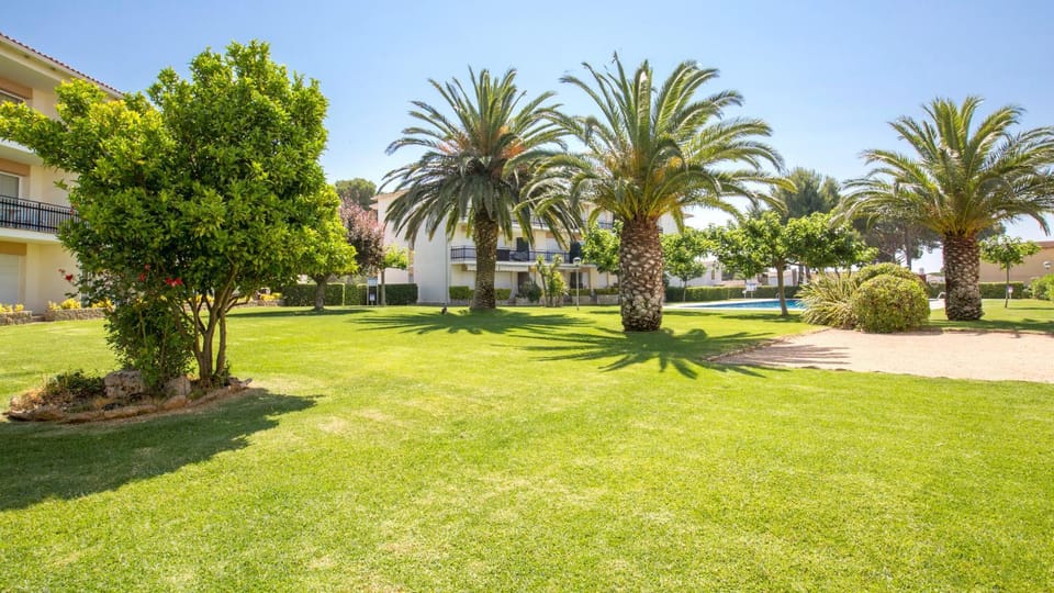 Patio, Garden, Garden view