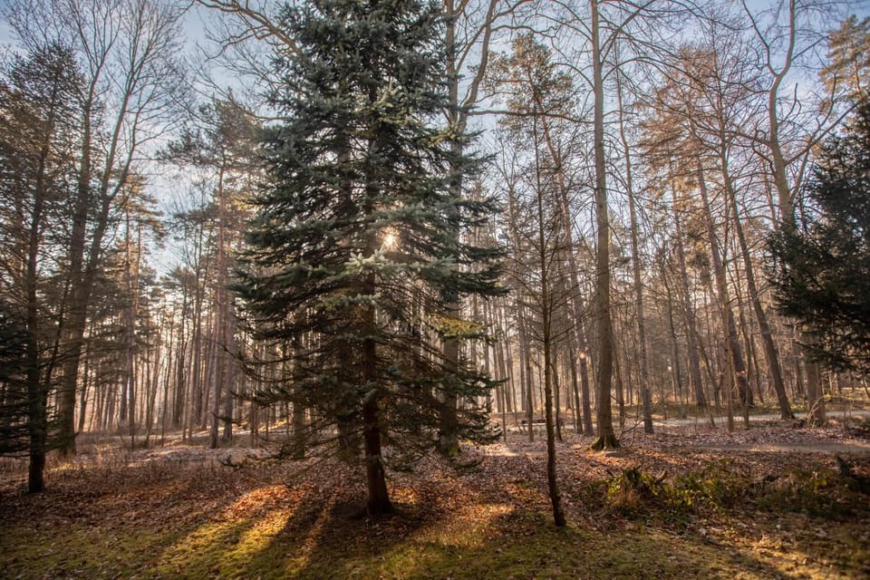 Natural landscape, Garden view
