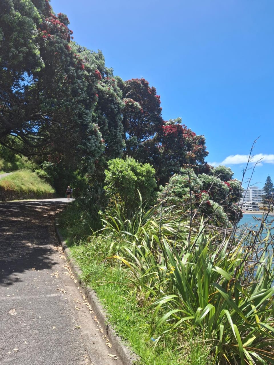 Studio Hugoway Papamoa Beach Winter Special Bed and Breakfast in Bay Of Plenty
