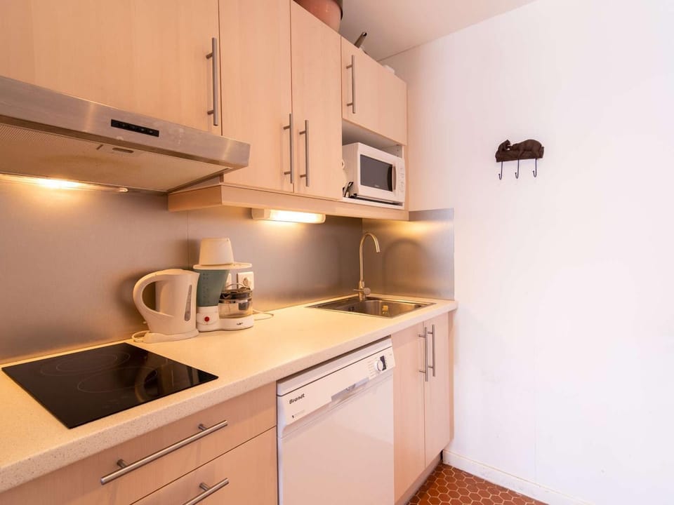 Duplex Proche Pistes à Pla d'Adet Apartment in Saint-Lary-Soulan