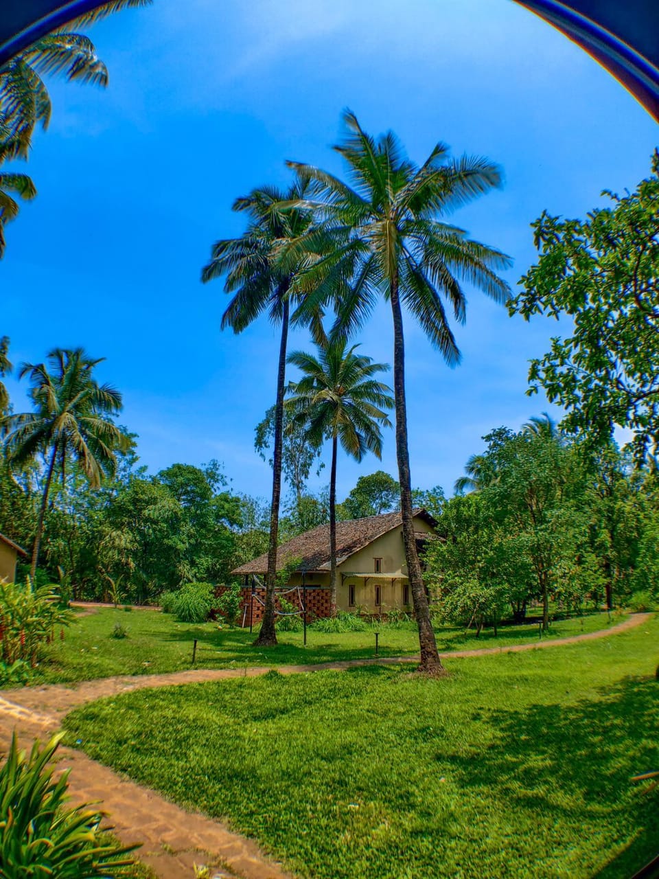Garden, Garden view