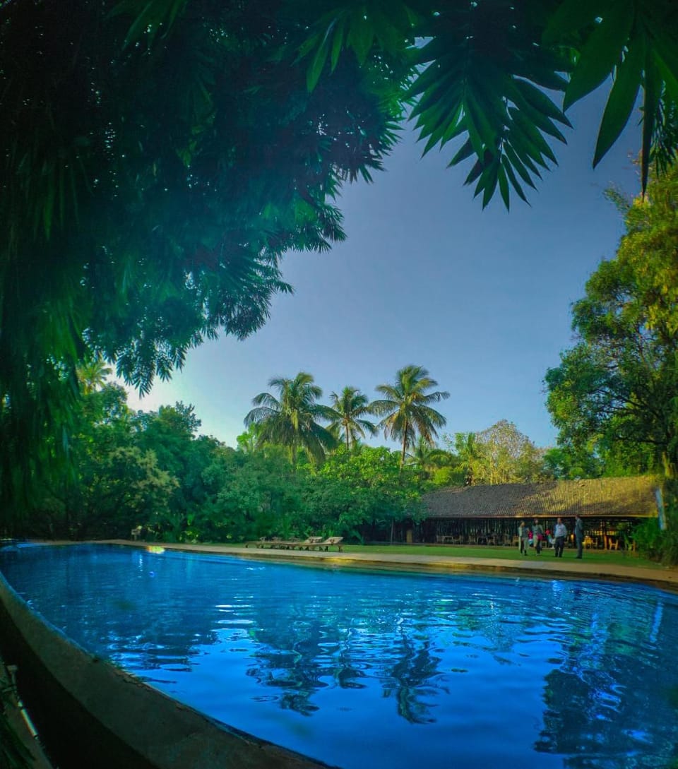 Pool view, Swimming pool, Swimming pool