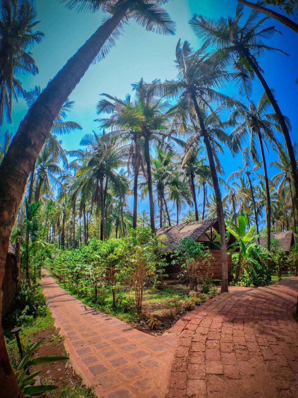 Natural landscape, Garden view