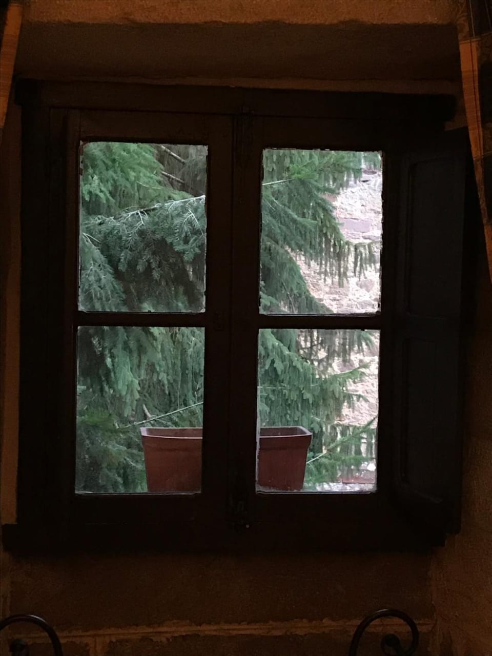 Garden view