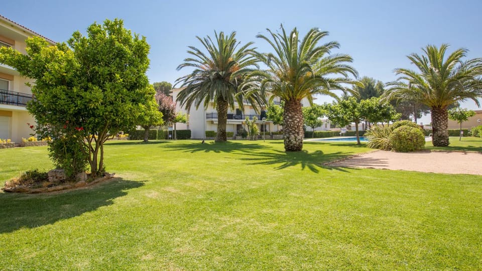 Patio, Garden, Garden view