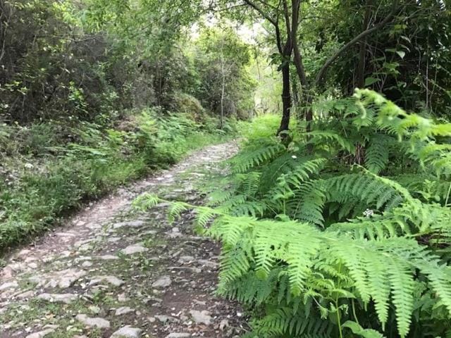 Natural landscape, Hiking