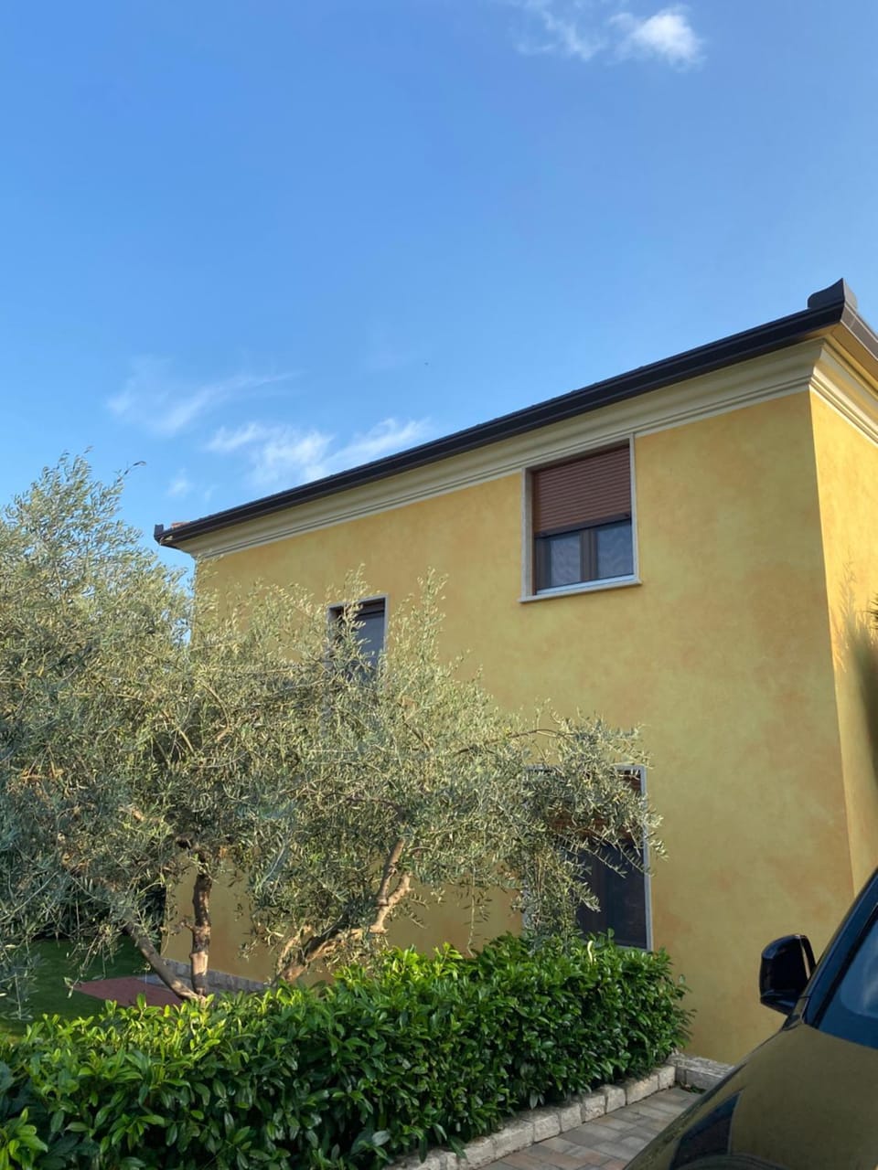 Property building, Garden view