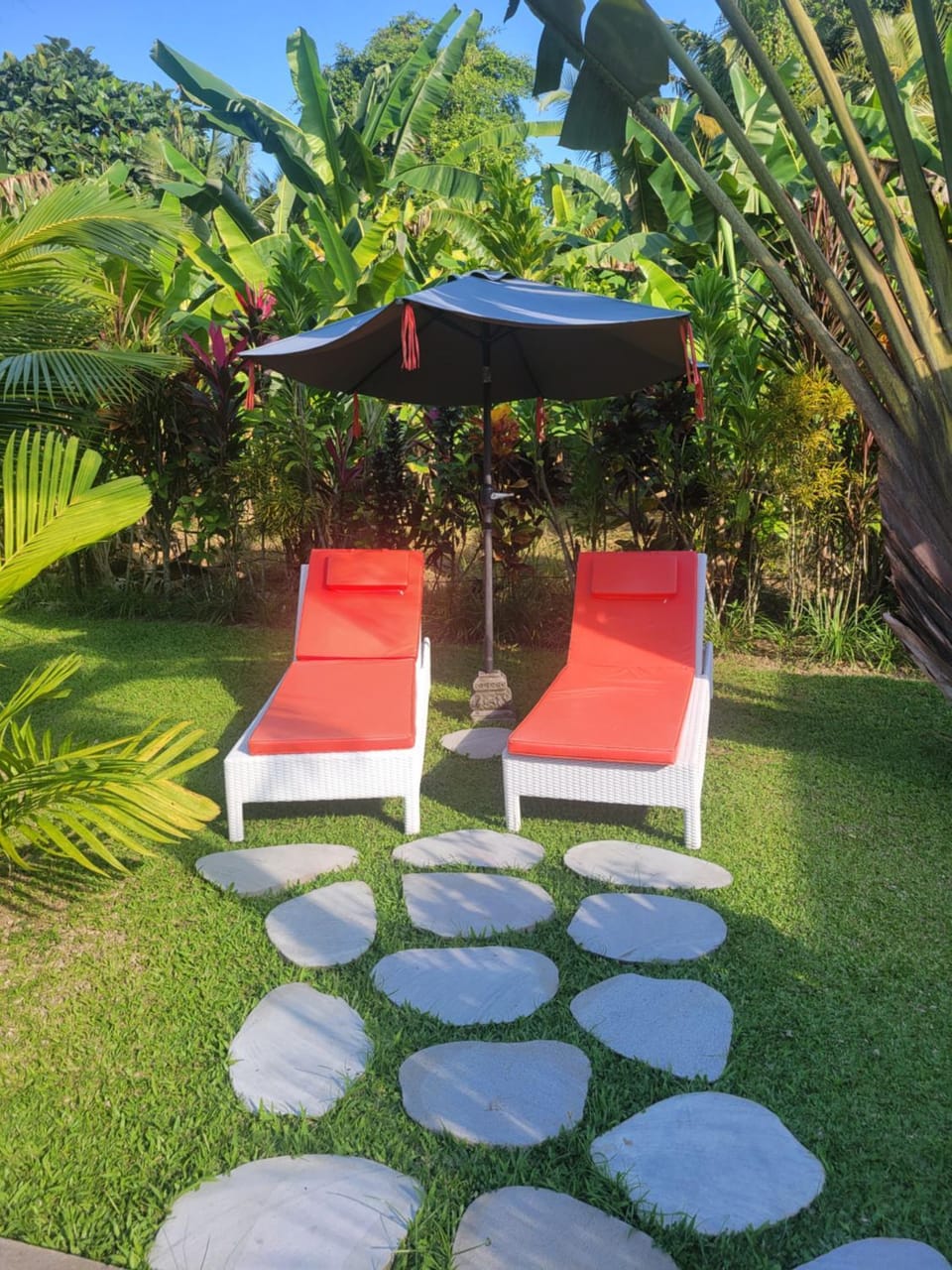 Natural landscape, Garden, sunbed