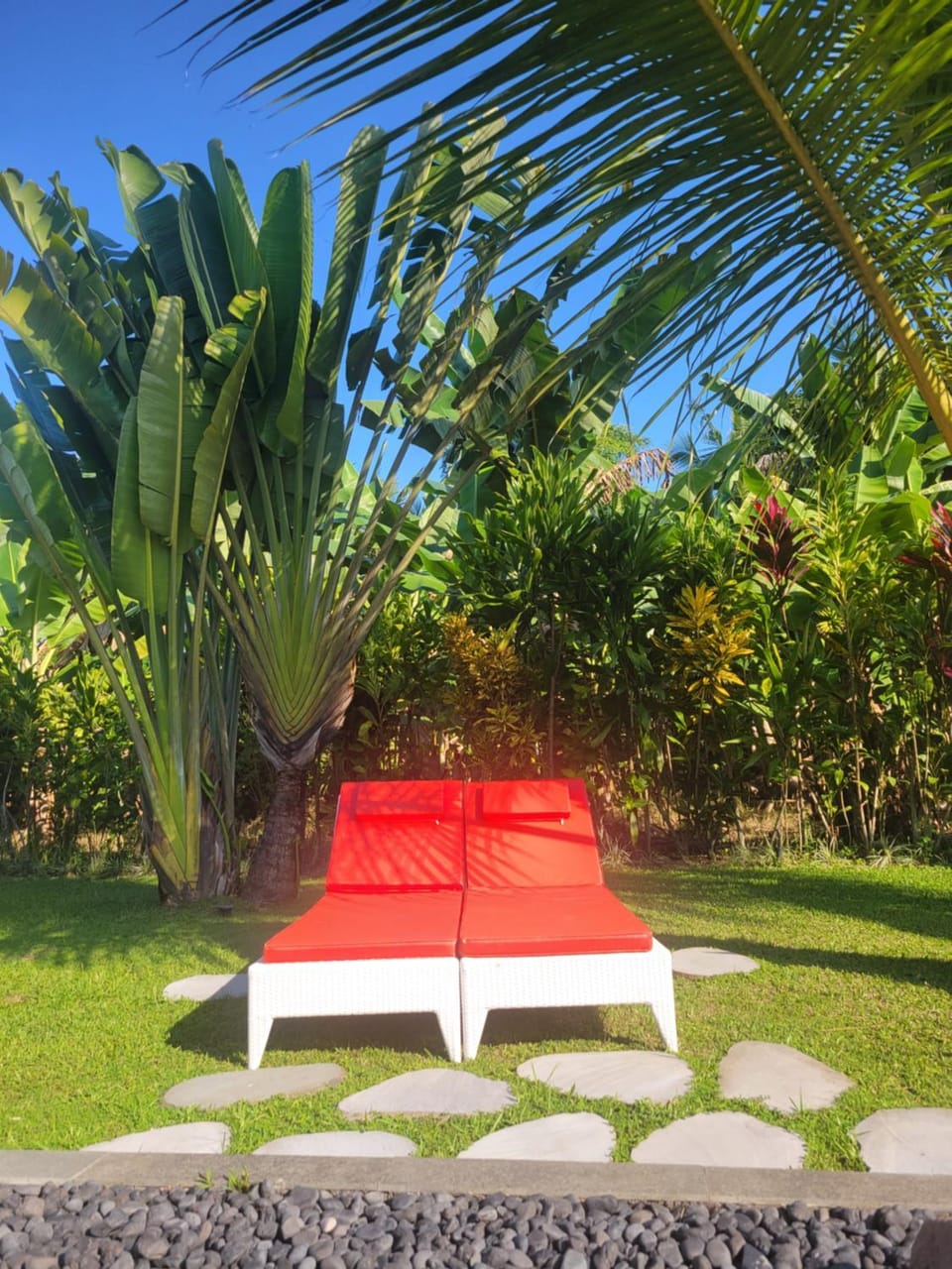 Garden view, Pool view, Swimming pool, Swimming pool