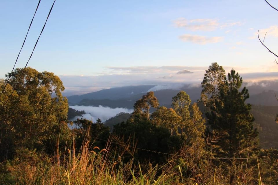 Natural landscape