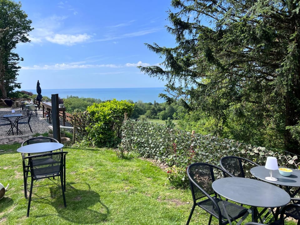 Garden, Sea view, Sunset