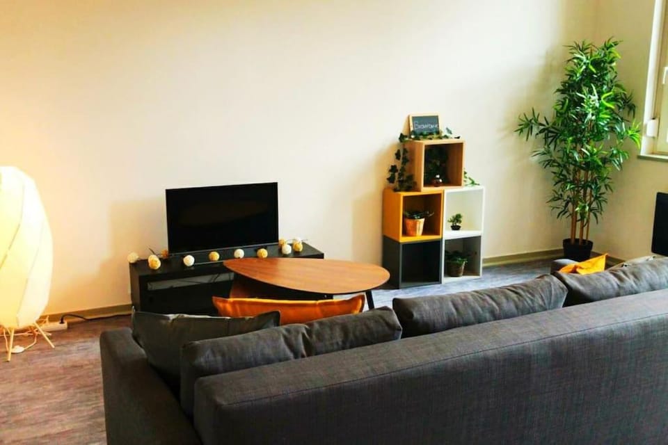 T2 LE SUDISTE Apartment in Occitanie