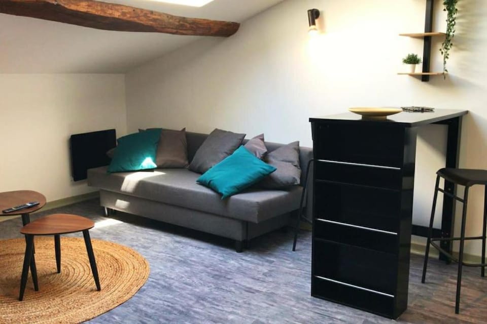 STUDIO LE NID Apartment in Occitanie
