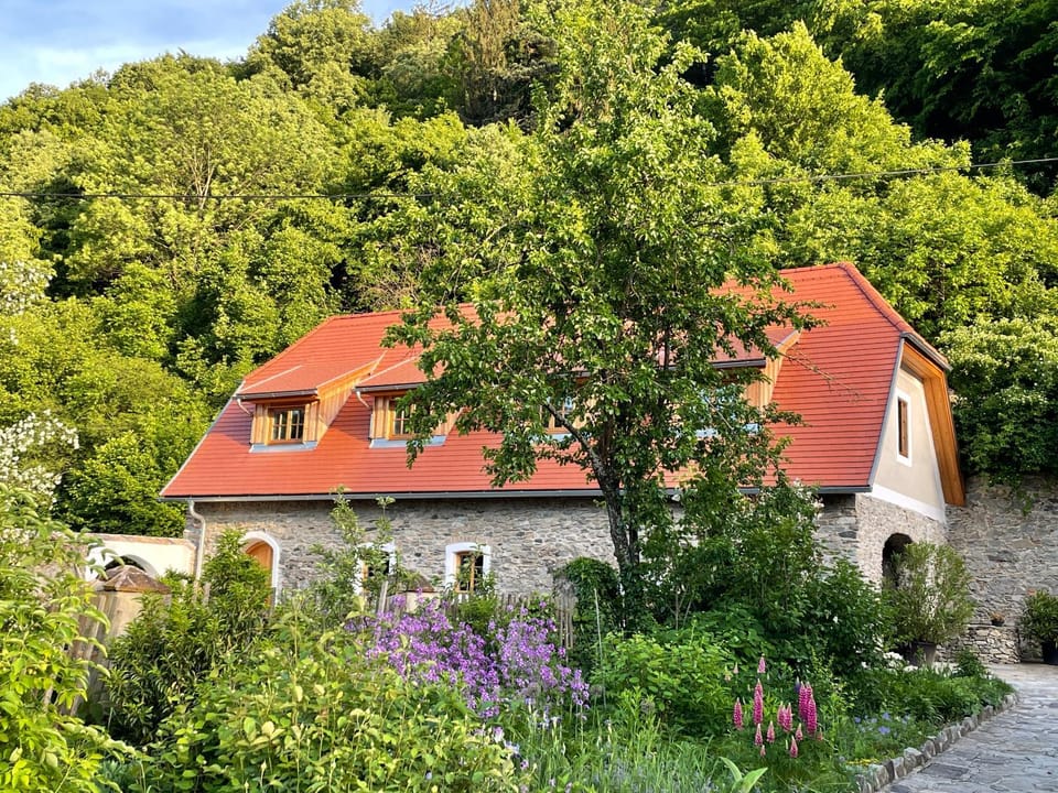 Property building, Garden, Garden view