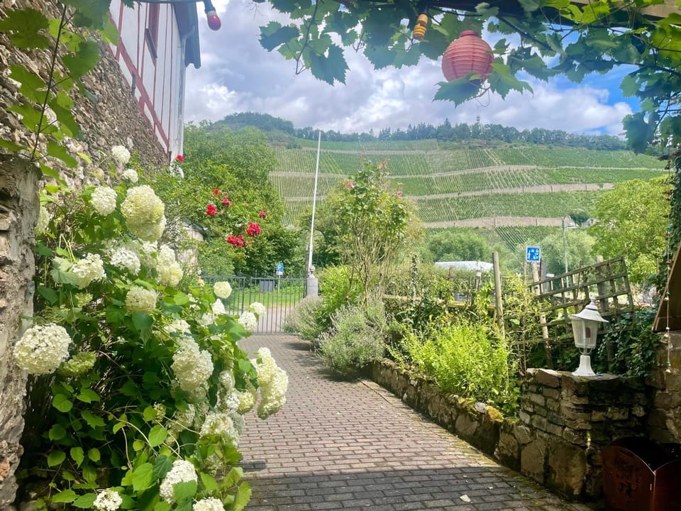 Inner courtyard view