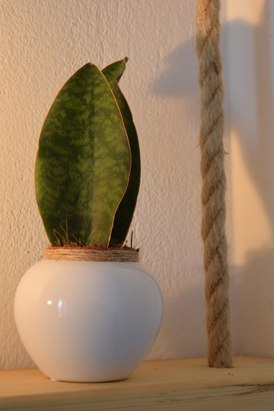 Eight senses Apartment hotel in Paros