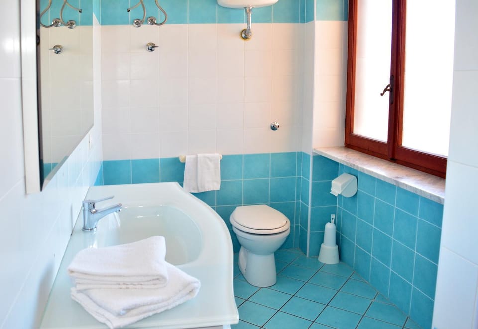 Shower, Toilet, Bathroom, bidet, towels