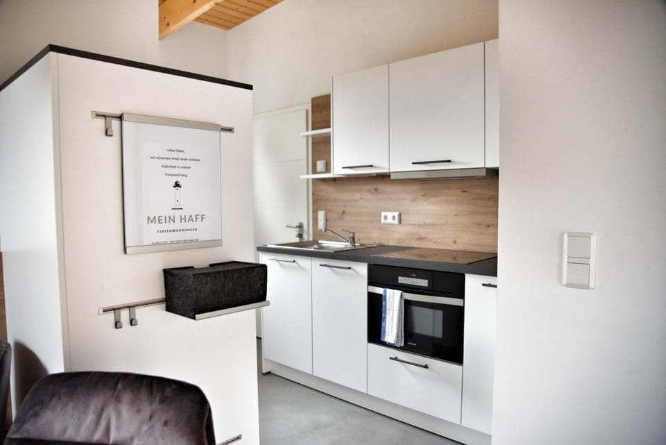 Kitchen or kitchenette, dishwasher, oven, stove