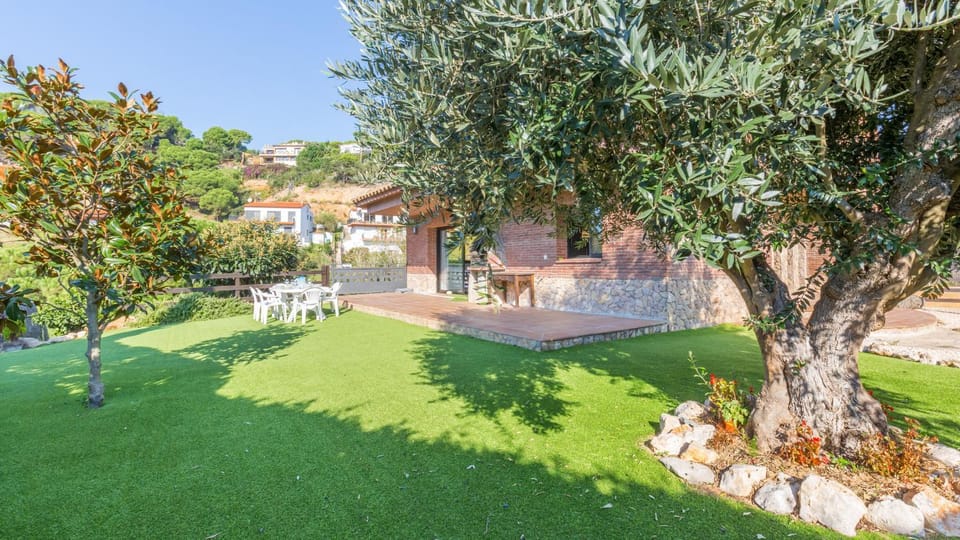 Patio, Garden, Garden view