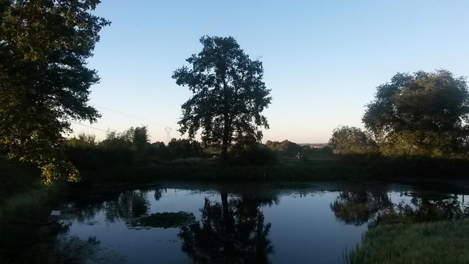 La Ferme du Bascou Bed and Breakfast in Occitanie