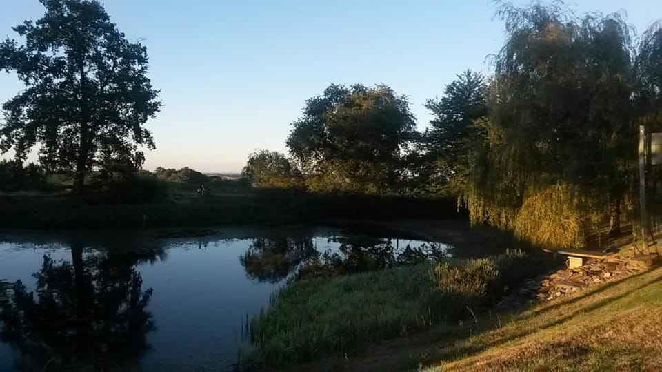 La Ferme du Bascou Bed and Breakfast in Occitanie