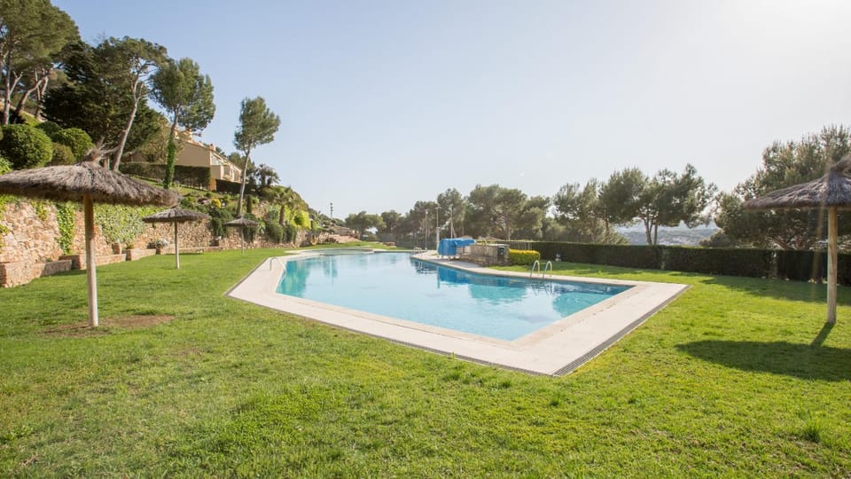 Patio, Garden, Garden view