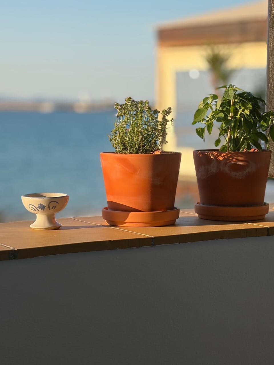Day, Sea view