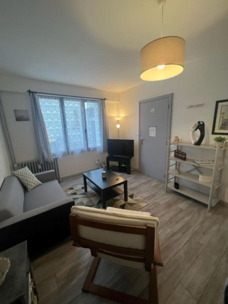 Le P'tit Gris Studio cosy et rénové Apartment in Nouvelle-Aquitaine