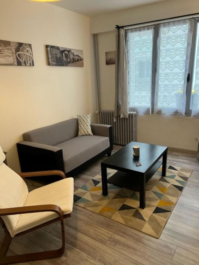 Le P'tit Gris Studio cosy et rénové Apartment in Nouvelle-Aquitaine