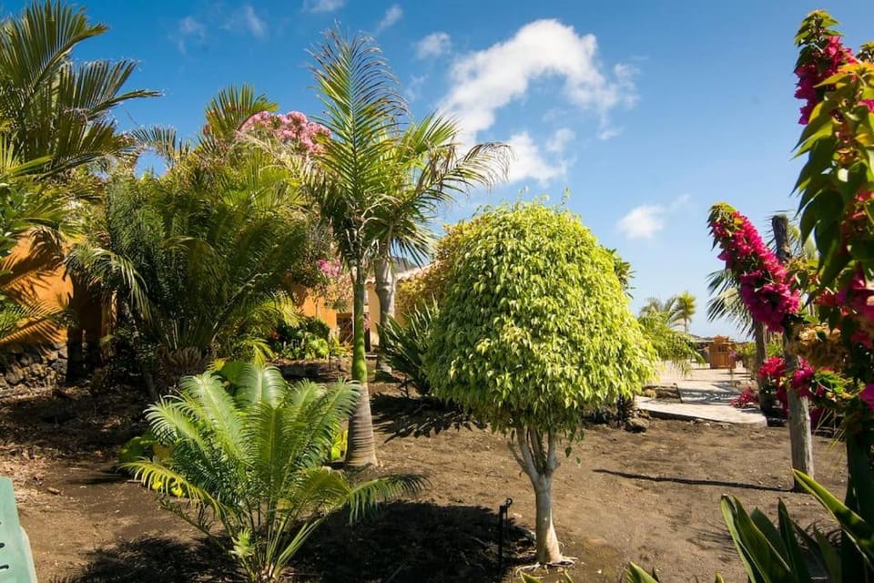 Casa La Time House in La Palma