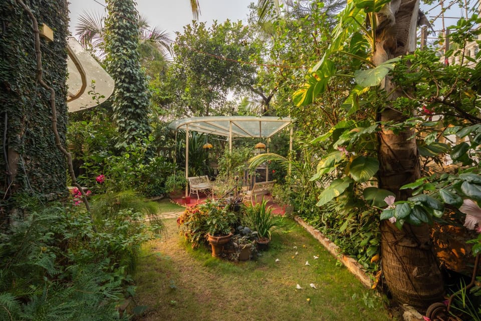 Day, Garden, Seating area, Pets, Garden view