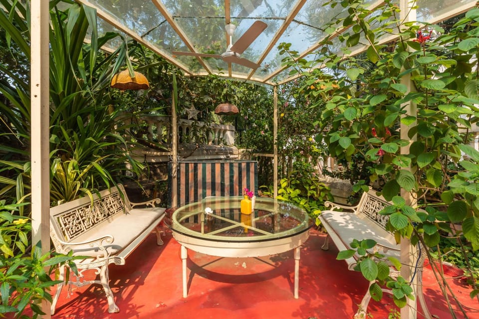Day, People, Garden, Seating area, Pets, Garden view