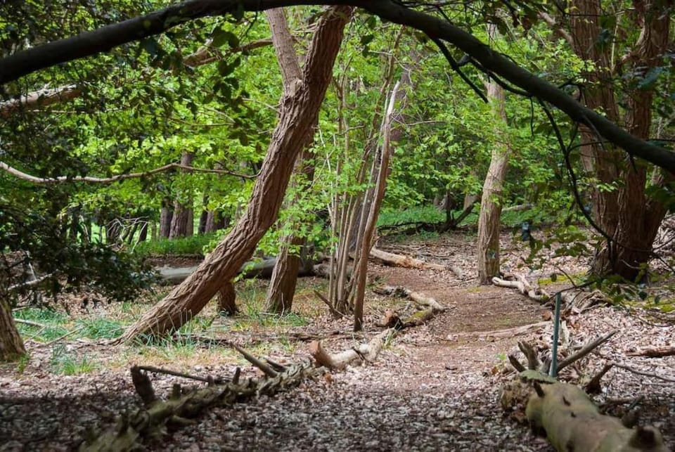 Queenies, an authentic Rural Style coastal cottage in a Nature Reserve House in Suffolk Coastal District