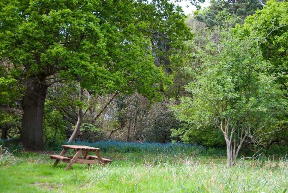 Queenies, an authentic Rural Style coastal cottage in a Nature Reserve House in Suffolk Coastal District