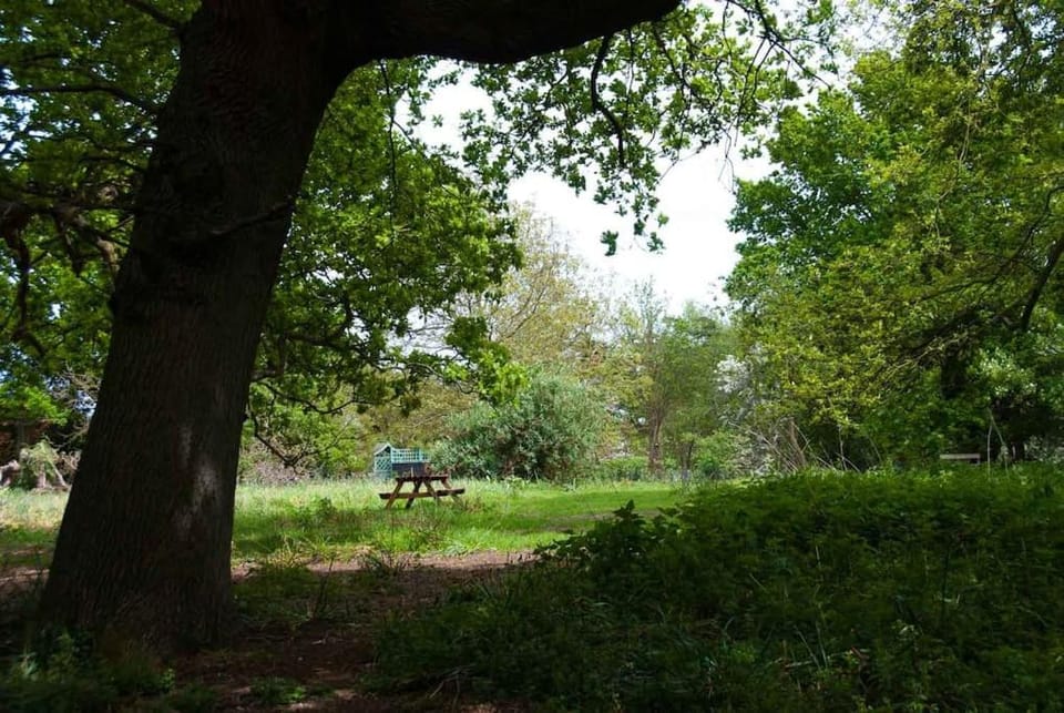 Queenies, an authentic Rural Style coastal cottage in a Nature Reserve House in Suffolk Coastal District