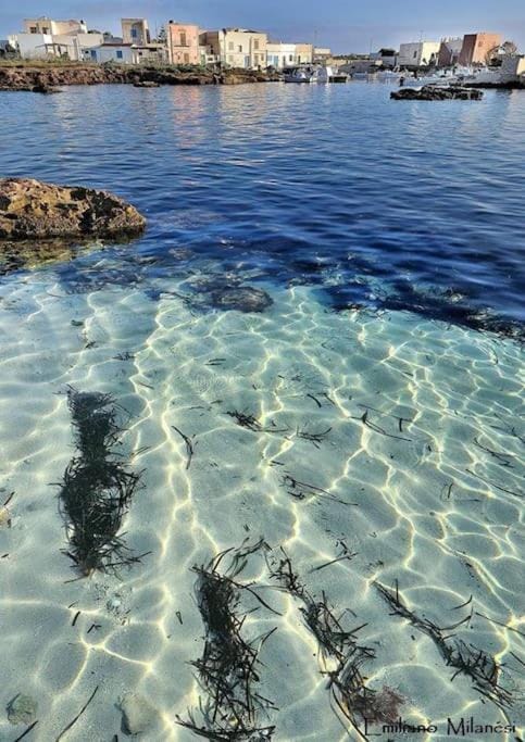 Il Cubo, monovano col mare su tre fronti. House in Sicily