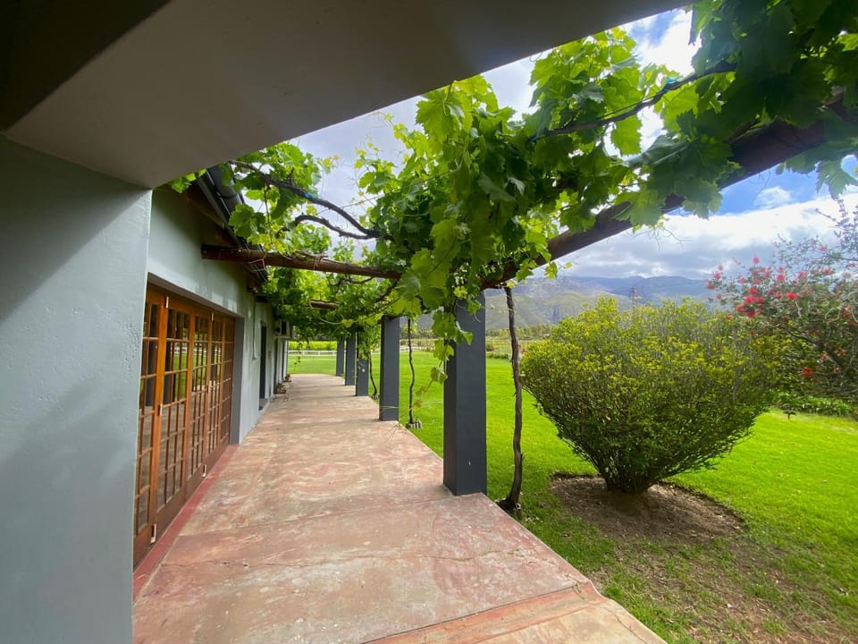 Spring, Natural landscape, Garden view