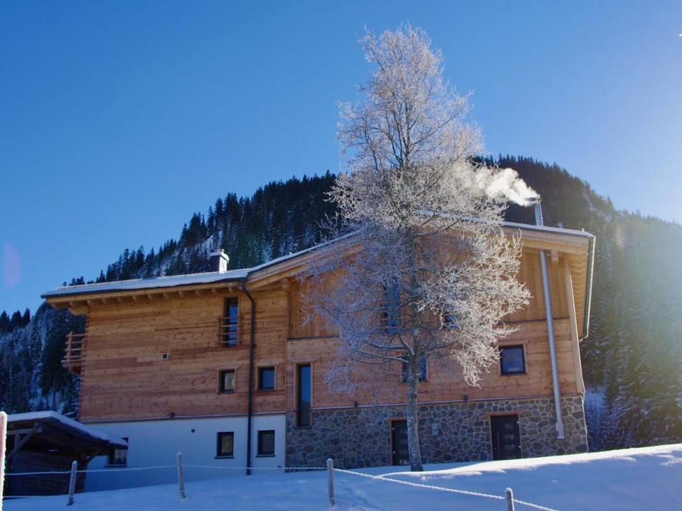 Landhaus Wiesle Apartment in Tyrol
