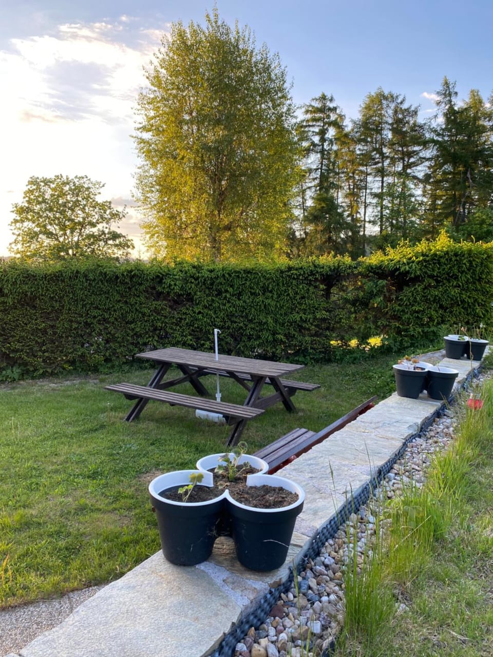 Natural landscape, Garden, Garden view