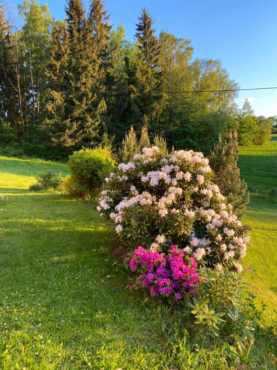 Spring, Natural landscape, Garden, Garden
