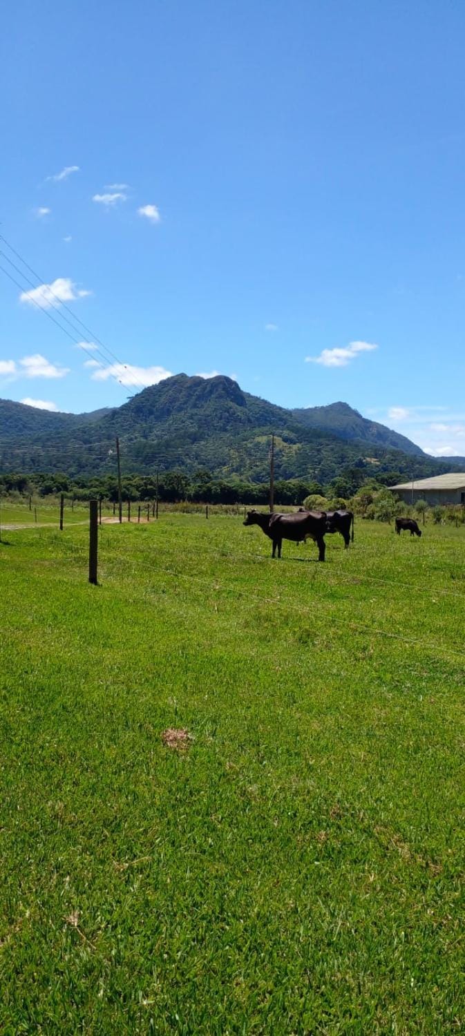 Chalé Recanto da Tiriva Chalet in State of Santa Catarina