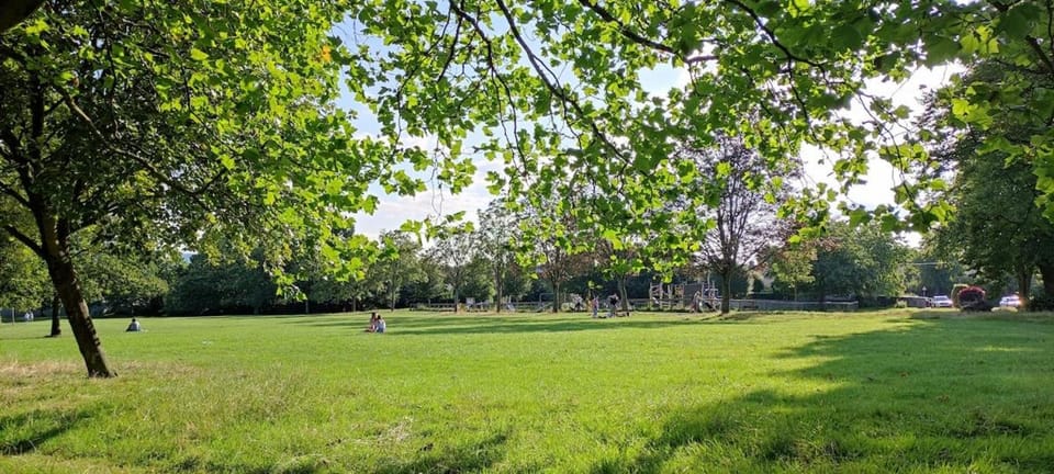 Maple House House in Bristol