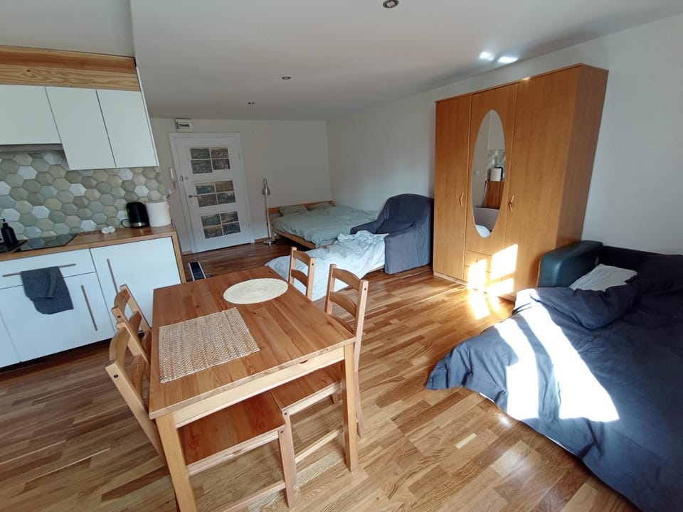 Apartament nad strumykiem Lądek-Zdrój Apartment in Lower Silesian Voivodeship