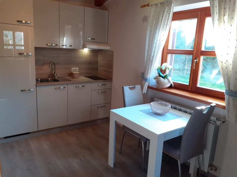 Kitchen or kitchenette, Dining area