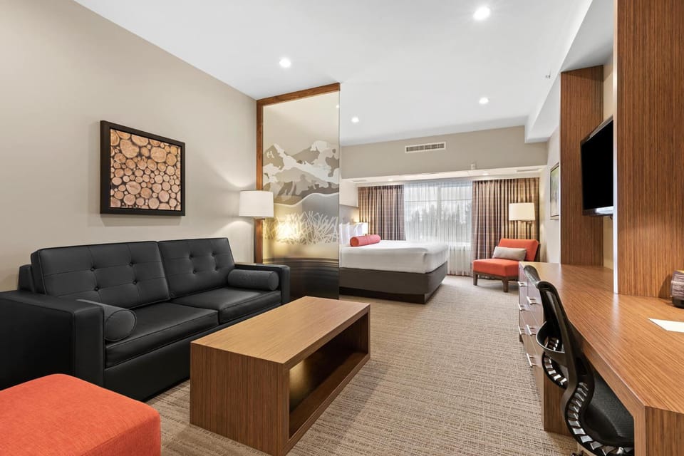 Bed, TV and multimedia, Living room, Photo of the whole room, Seating area, Bedroom