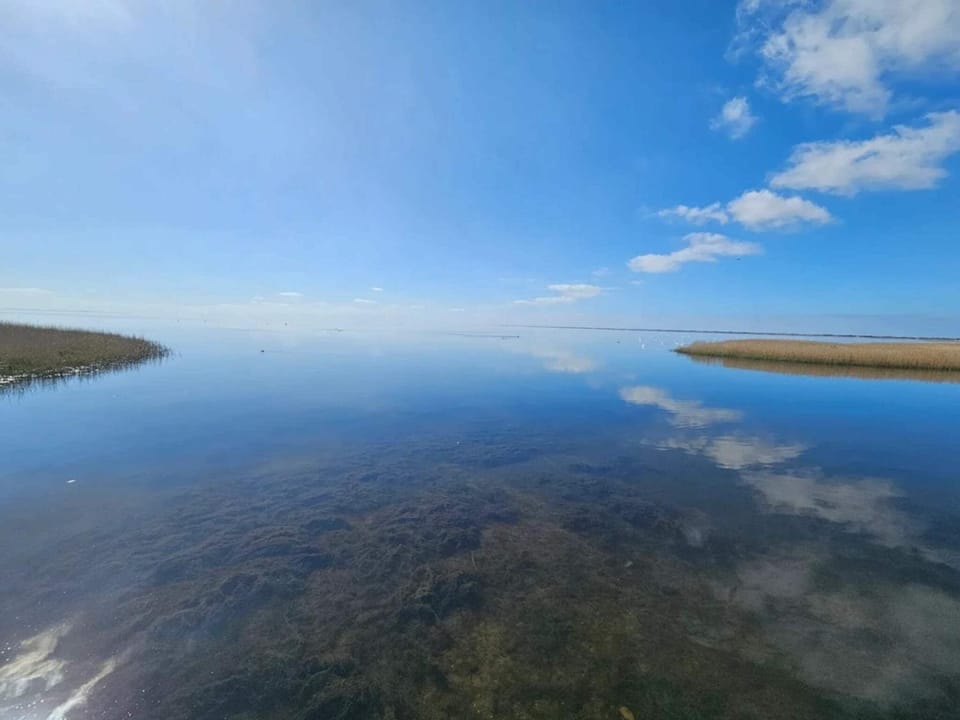Lake view